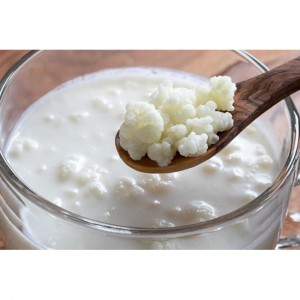 Ev Üretimi Kefir Mayası