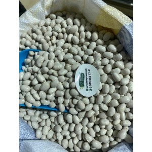 Akkuş Kuru Fasulyesi Çangal  (1 Kg)